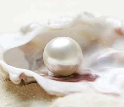 💖 OceanGlow Seashell Necklace Gift Set